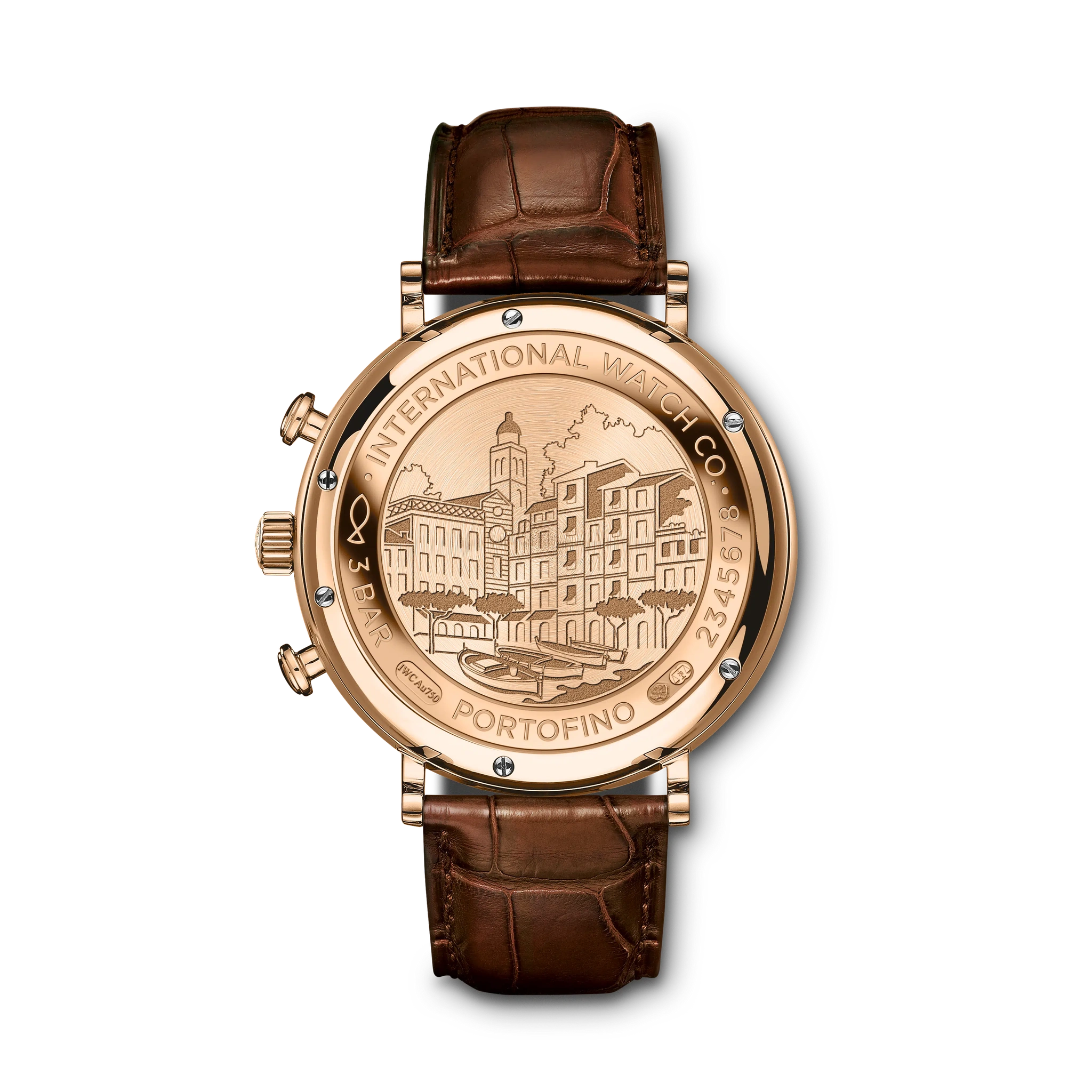 IWC Portofino Chronograph - 2