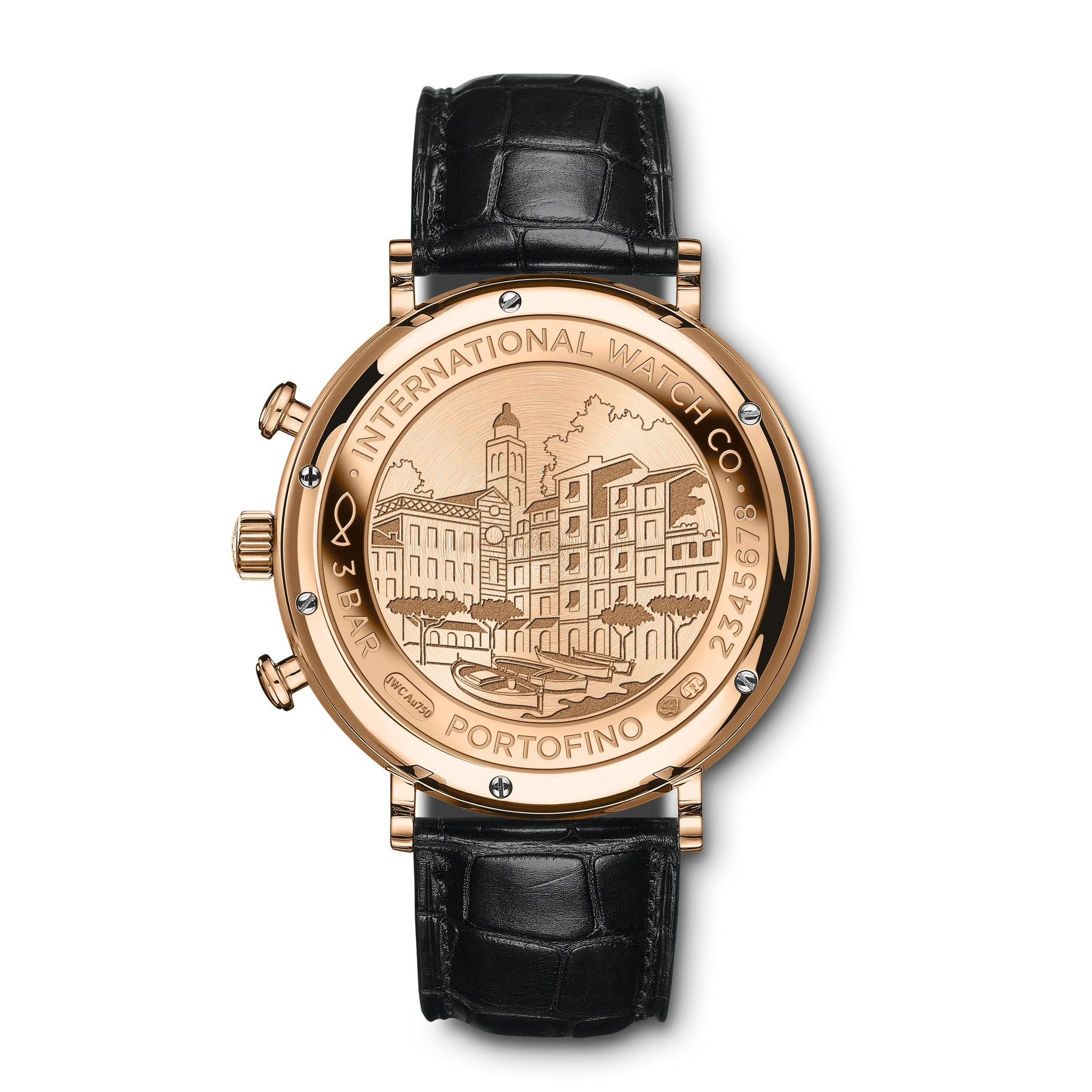 IWC Portofino Chronograph - 2
